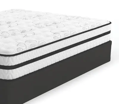 Sofa Repair and Service in Ashok Nagar